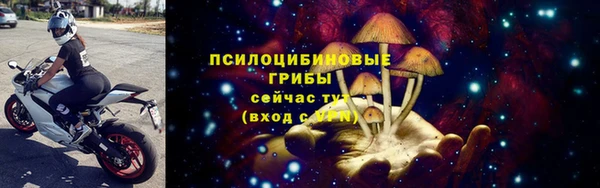 бошки Беломорск
