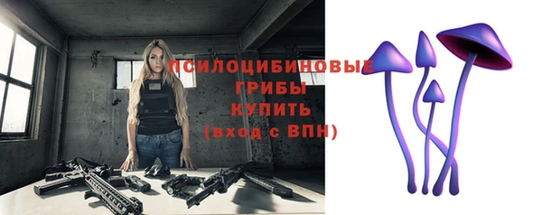 стафф Белокуриха