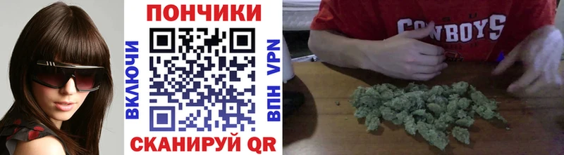 Бошки марихуана Amnesia  Казань 